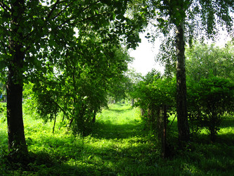 Similar image 2787221