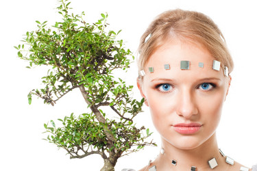 Similar image 2787272