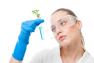 Similar image 2787317