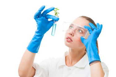 Similar image 2787318