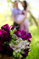 Similar image 2787347