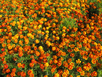 Similar image 2787441