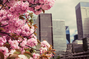 Similar image 2787513