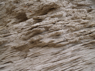 Similar image 2787529