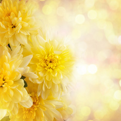 Similar image 2787535