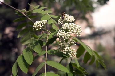 Similar image 2787536