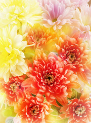 Similar image 2787563