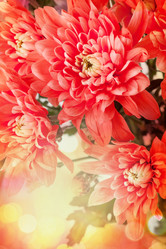 Similar image 2787564