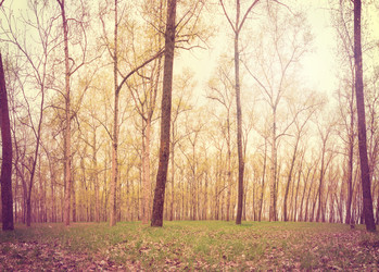 Similar image 2787566