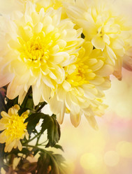 Similar image 2787567