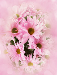 Similar image 2787568