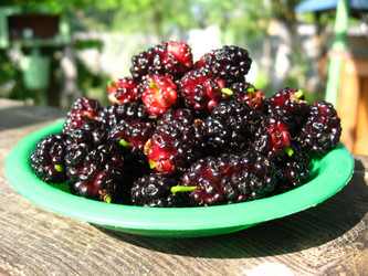 Similar image 2787569