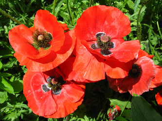 Similar image 2787570