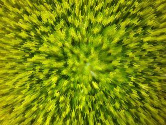 Similar image 2787572