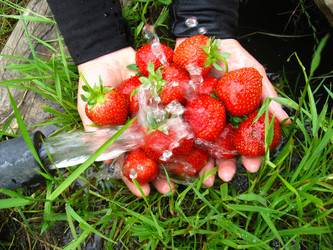 Similar image 2787574