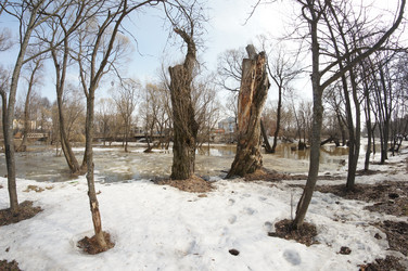 Similar image 2787633