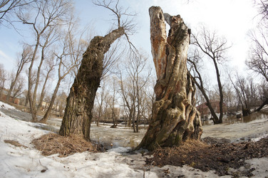 Similar image 2787644