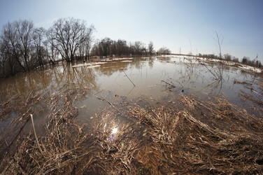 Similar image 2787645