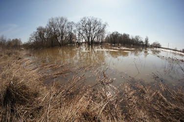 Similar image 2787712