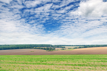 Similar image 2787869