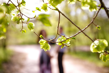 Similar image 2787873