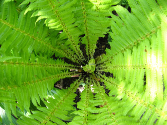 Similar image 2788017