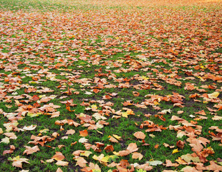 Similar image 2788452