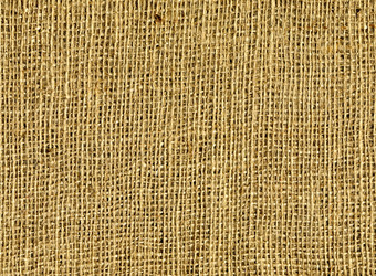 Similar image 2789043