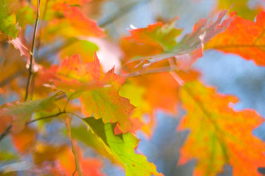 Similar image 2789047