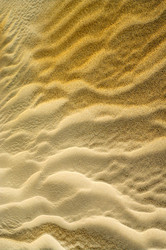 Similar image 2789048