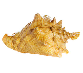 Similar image 2789142