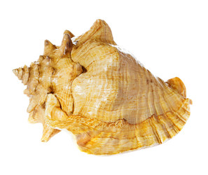 Similar image 2789145