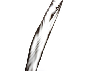 Similar image 2789214