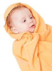 Similar image 2789296