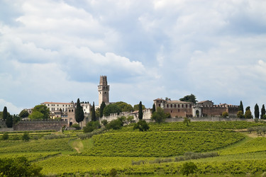 Similar image 2789547