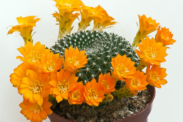 Similar image 2789570