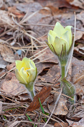 Similar image 2789575