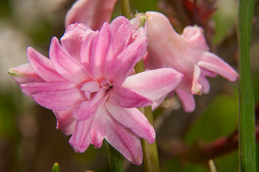 Similar image 2789576