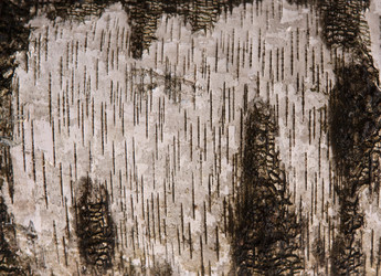 Similar image 2789578