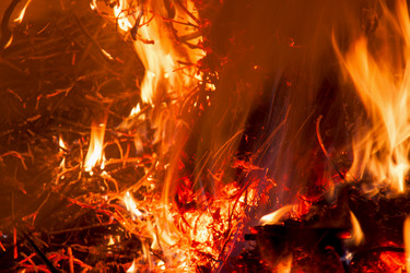 Similar image 2789580