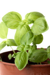 Similar image 2789584