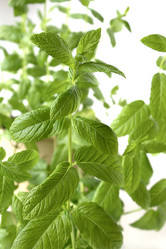 Similar image 2789586