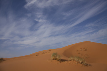 Similar image 2789648