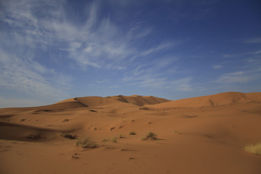 Similar image 2789651