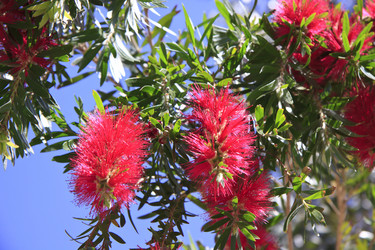 Similar image 2789656