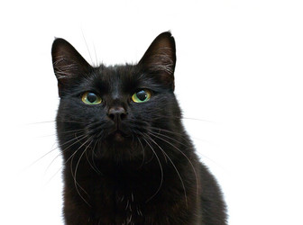 Similar image 2789758