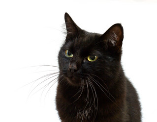 Similar image 2789767