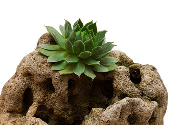 Similar image 2789769