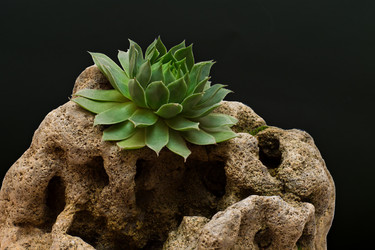 Similar image 2789770