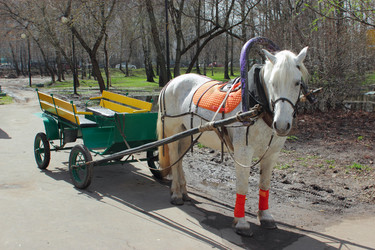 Similar image 2789858